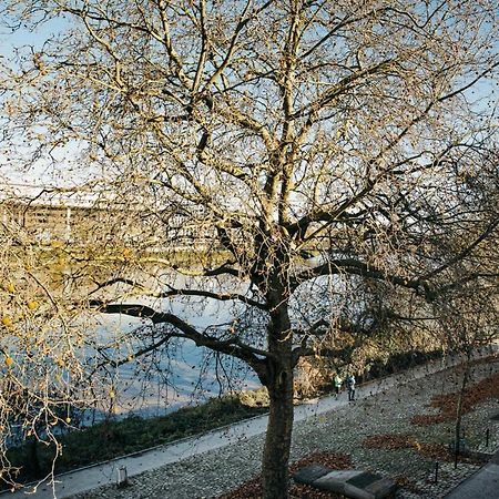 南特The Rhuys - Cosy-Balcony With Superb Loire View - All On Foot - Parking公寓 外观 照片